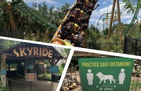 busch gardens ta reopens with a few