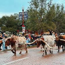 Your Guide To The Fort Worth Stockyards