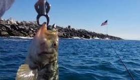 Image result for FISHING lip GRIP BENEFITS