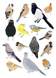 uk garden birds with gles print by