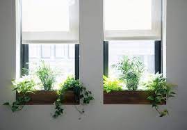 Indoor Window Planter