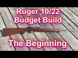 ruger 10 22 project series you