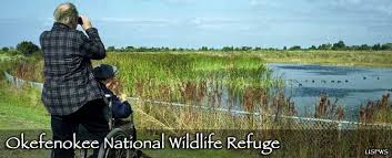 okefenokee national wildlife refuge