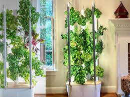 Indoor Vertical Hybriponic Garden