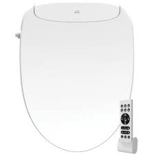 Bemis Bidet Seat Elongated Hv5000e