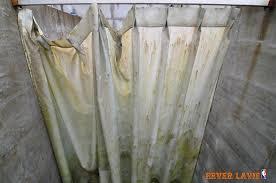 mold on shower curtain causes