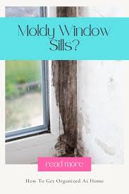 killing mold on window sills