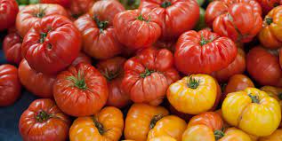 Tomato Gardening Tips For Epic Tomatoes