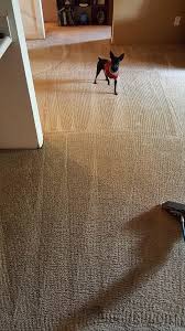 stainbusters carpet cleaning herndon va