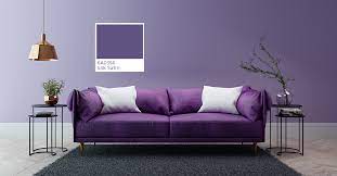 Top 8 Wall Colours For 2022 According
