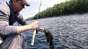 The Best Fishing Rods Options For