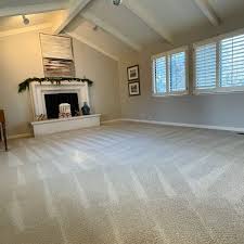 the 1 carpet cleaning in san jose with