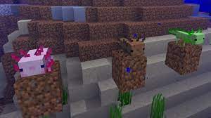 They come in five different colors, but the blue ones are extremely rare. Minecraft Axolotl How To Tame Axolotls Pcgamesn
