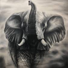 Best Black And White Elephant Wall Art