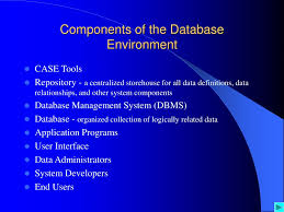 ppt the database environment