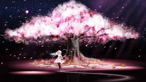 pohon sakura anime pohon sakura