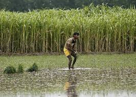 Should India Stop Growing Sugarcane Rediff Com Business