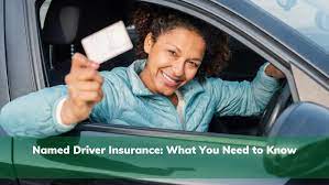 Named Driver Car Insurance gambar png