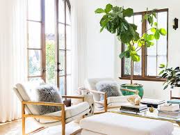decorate with large indoor plants