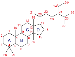 Steroide – Wikipedia
