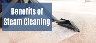 benefits of professional steam cleaning