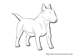 View topic american pit bull terrier. Mini Bull Terrier Lineart By O Akilove O Mini Bull Terriers English Bull Terriers Bull Terrier