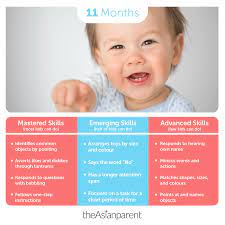 11 month old baby development and