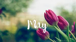 The month of may HD wallpapers | Pxfuel