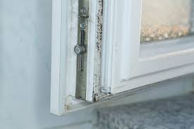 what to do about mold on windows