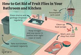 fruit flies in your bathroom