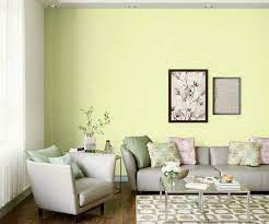 Lime Delight 7744 House Wall Painting