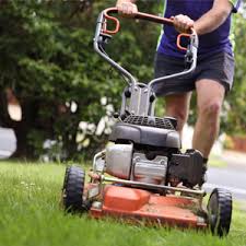 Lawn Mowing Auckland Crewcut Lawn And Garden