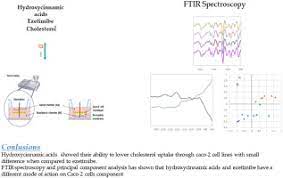ftir spectroscopy on caco 2