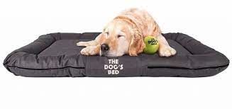 top 6 dog beds for golden retrievers