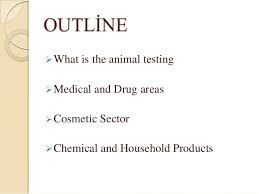 Animal testing essay argumentative    ENHANCEDFLARED CF
