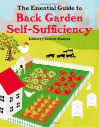 The Essential Guide To Back Garden Self
