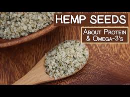 hemp seeds a source of protein and