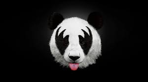 panda wallpapers 101 images inside