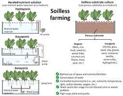 soillesicrogreen farming