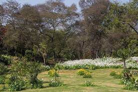 Buddha Jayanti Park Delhi Timings