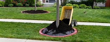 gaston mulch and soil