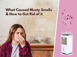 how to remove musty smells from the