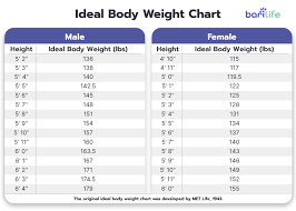 your bariatric weight loss chart bari