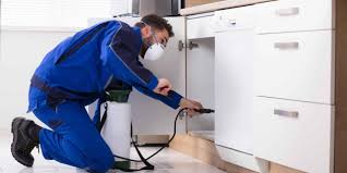 Selecting the Most Efficient Pest Control Service -  BetterDecoratingBibleBetterDecoratingBible