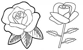 Aneka gambar mewarnai 15 gambar mewarnai bunga mawar untuk anak paud dan tk. Bunga Mawar Mewarnai Sedang