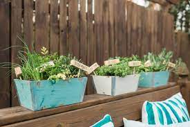 How To Plant A Mini Herb Garden