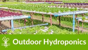 Outdoor Hydroponics Pros Cons 5