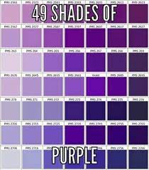 Purple Colour Shades