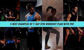 7 day gym workout plan with pdf ppl