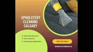calgary upholstery cleaning oxy genie